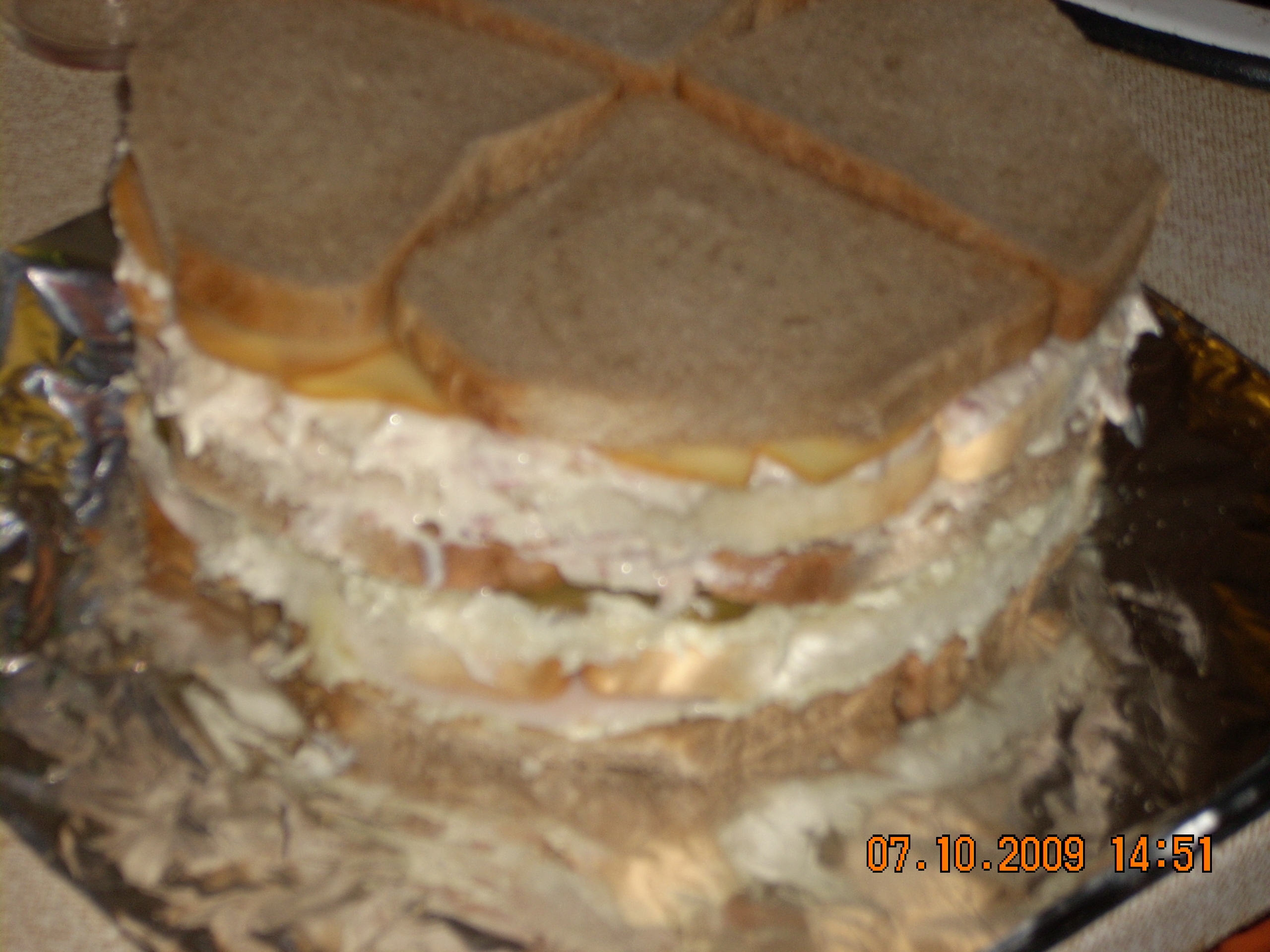 DSCN0868